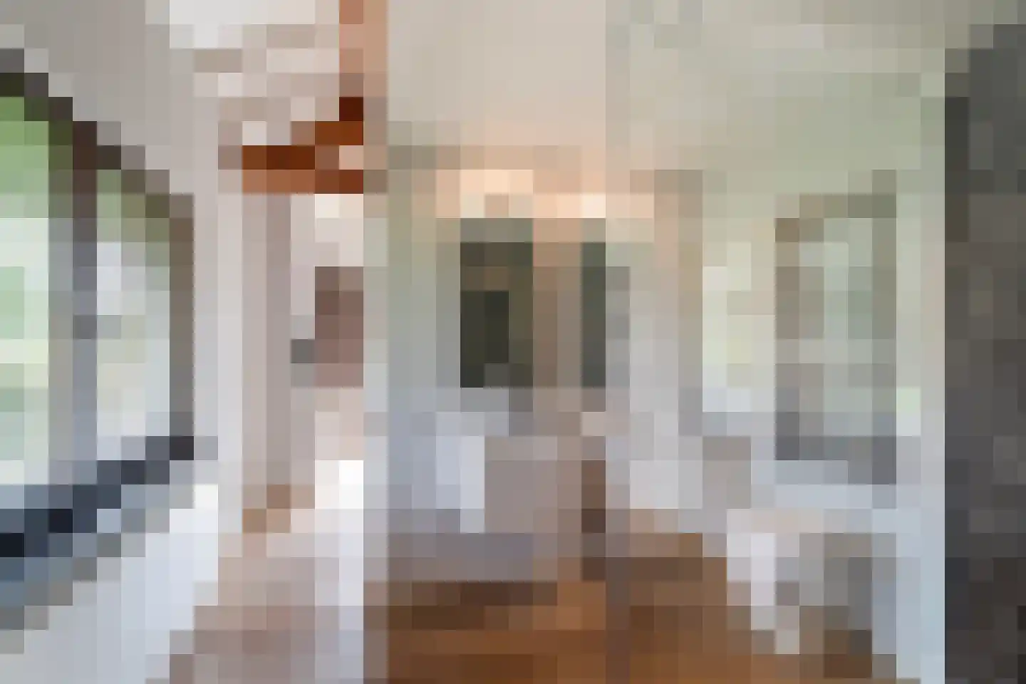 Smitshoekseweg 203 Rotterdam thumbnail 25