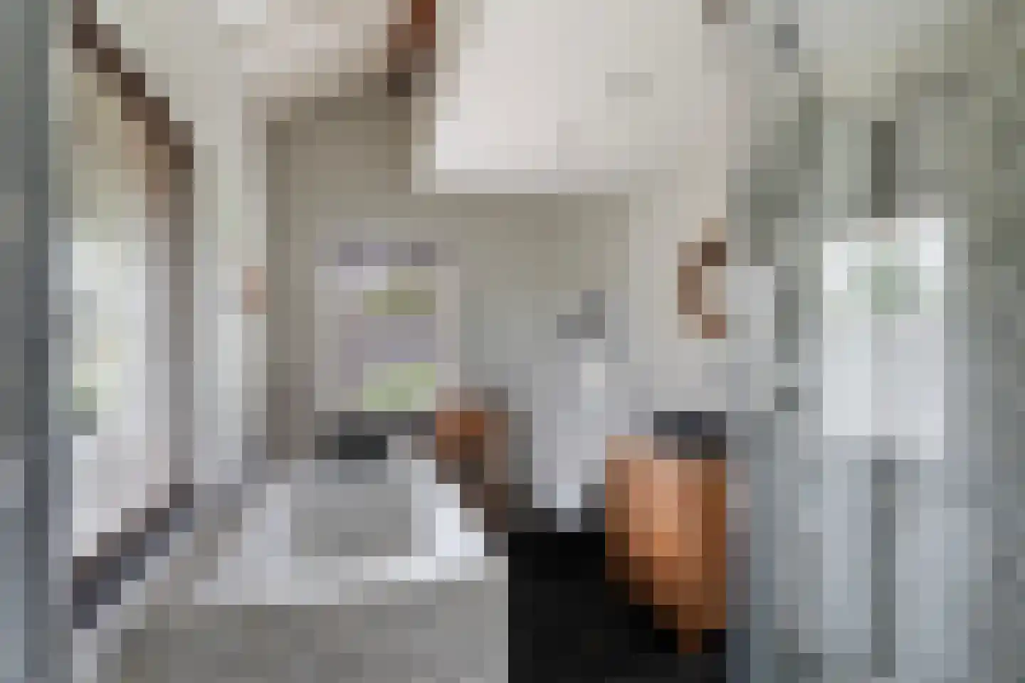 Smitshoekseweg 203 Rotterdam thumbnail 30