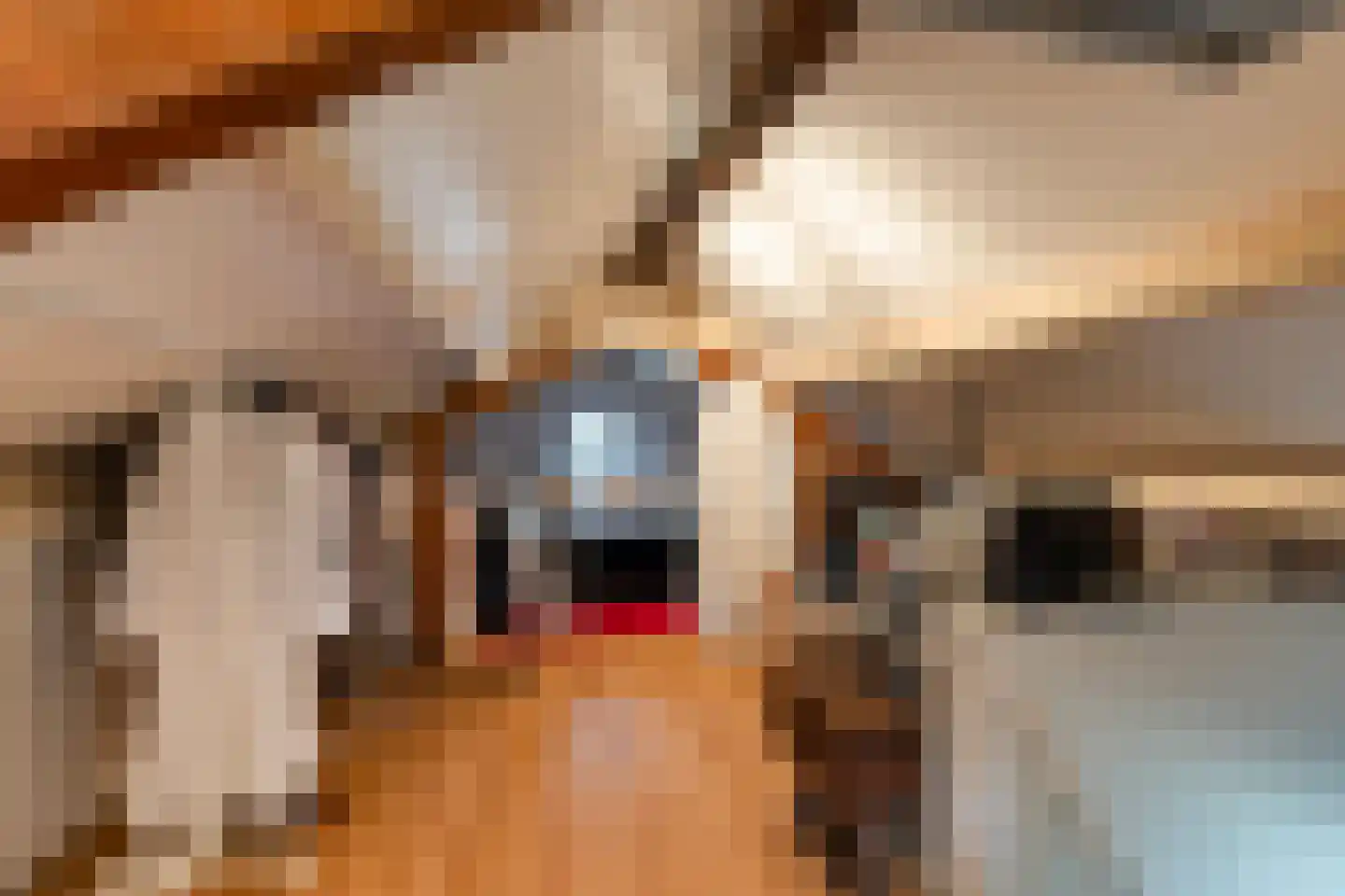 Smitshoekseweg 203 Rotterdam thumbnail 32