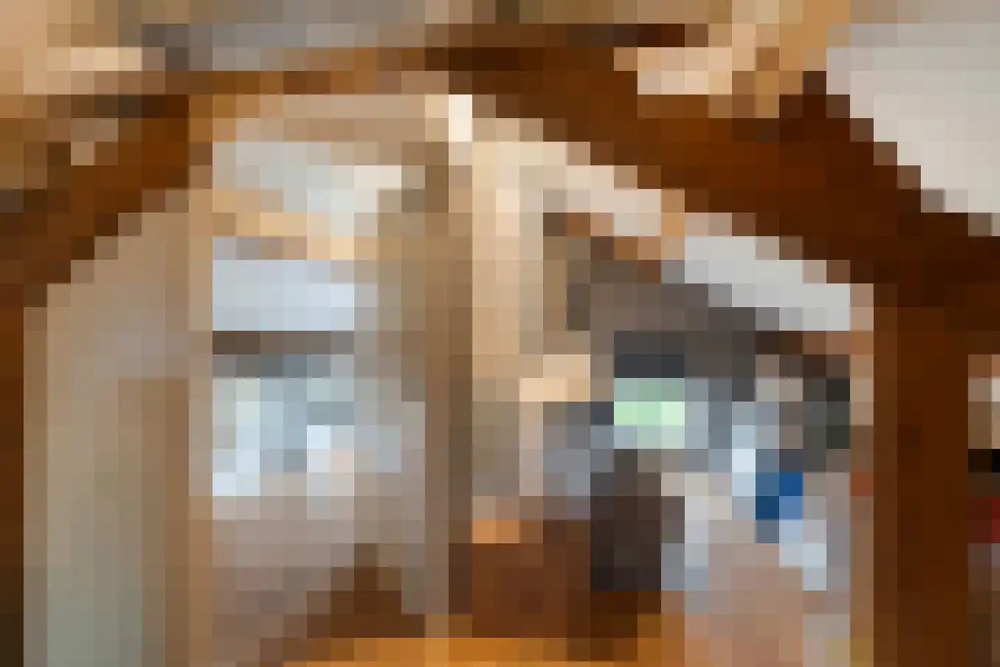 Smitshoekseweg 203 Rotterdam thumbnail 33