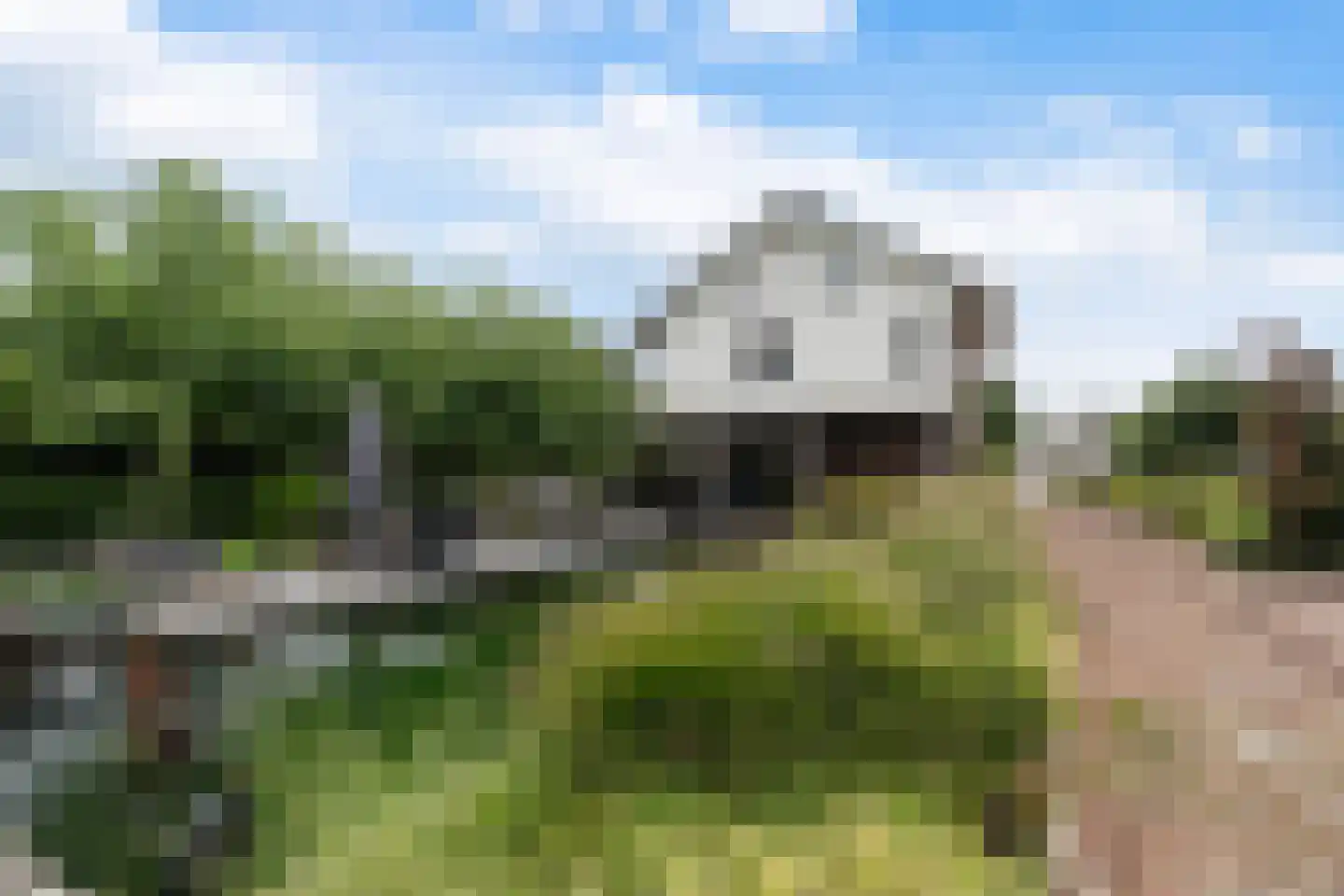 Smitshoekseweg 203 Rotterdam thumbnail 42