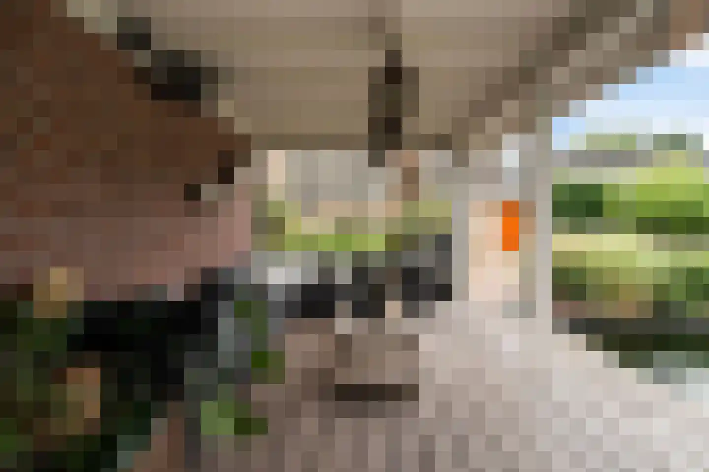 Smitshoekseweg 203 Rotterdam thumbnail 48