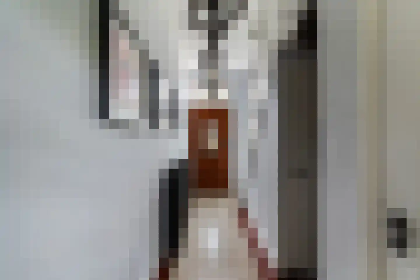 Smitshoekseweg 203 Rotterdam thumbnail 5