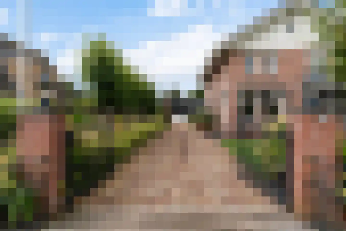 Smitshoekseweg 203 Rotterdam thumbnail 50