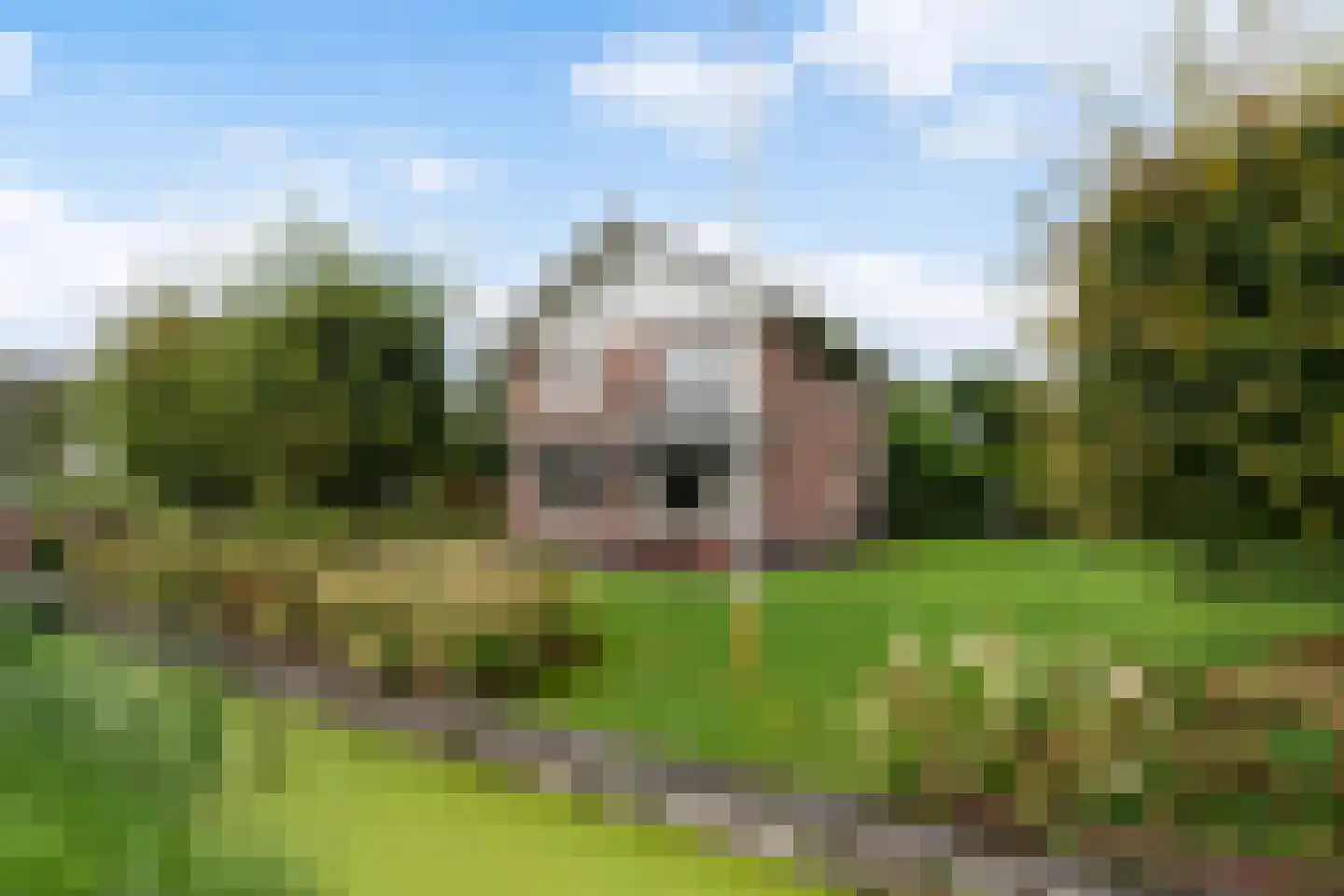 Smitshoekseweg 203 Rotterdam thumbnail 52
