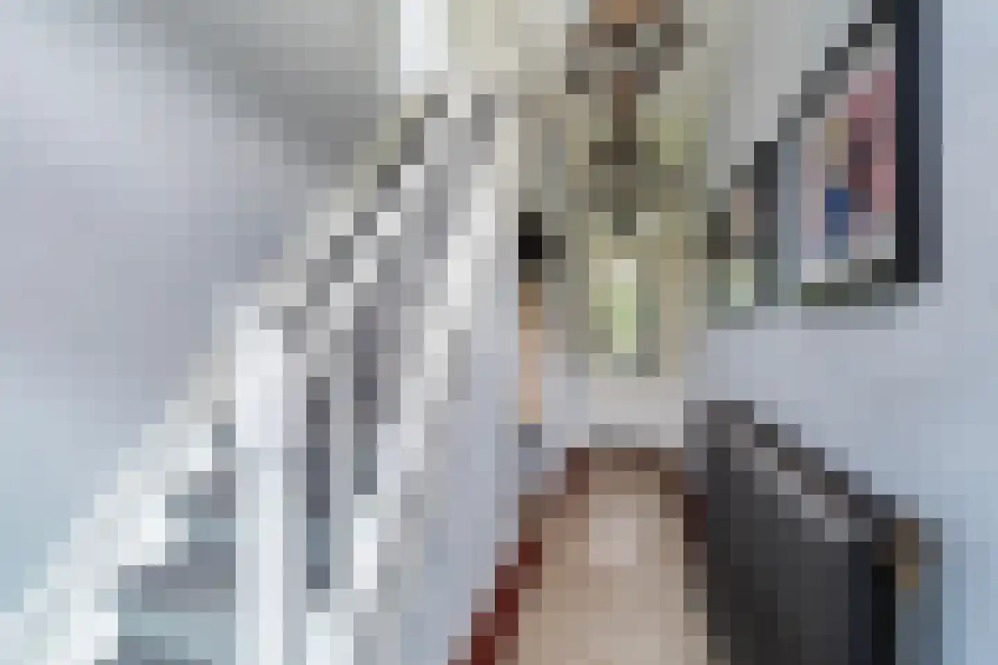 Smitshoekseweg 203 Rotterdam thumbnail 6
