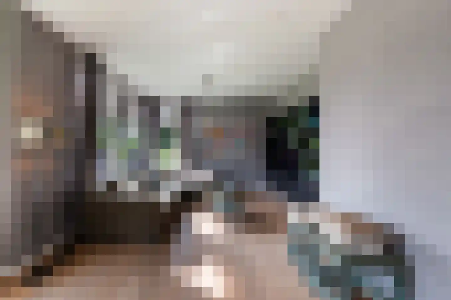 Smitshoekseweg 203 Rotterdam thumbnail 7