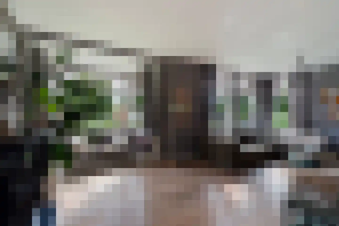 Smitshoekseweg 203 Rotterdam thumbnail 8