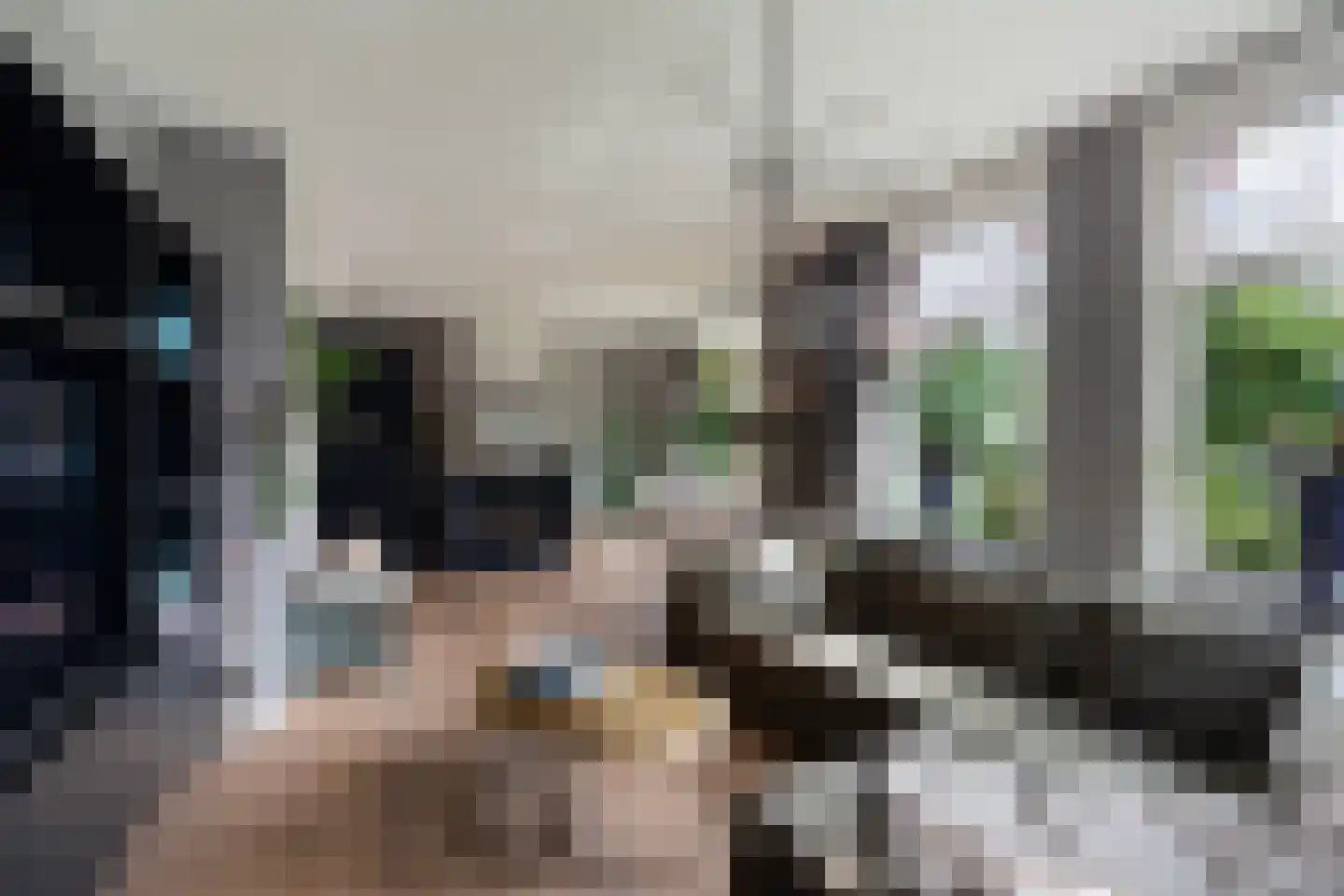 Smitshoekseweg 203 Rotterdam thumbnail 9