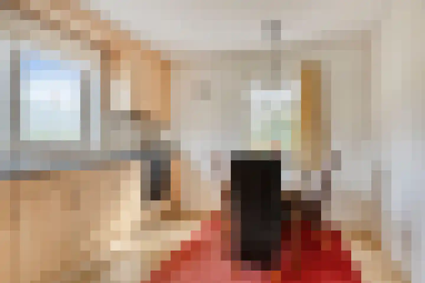 Smitskamp 150 A Aalten thumbnail 17