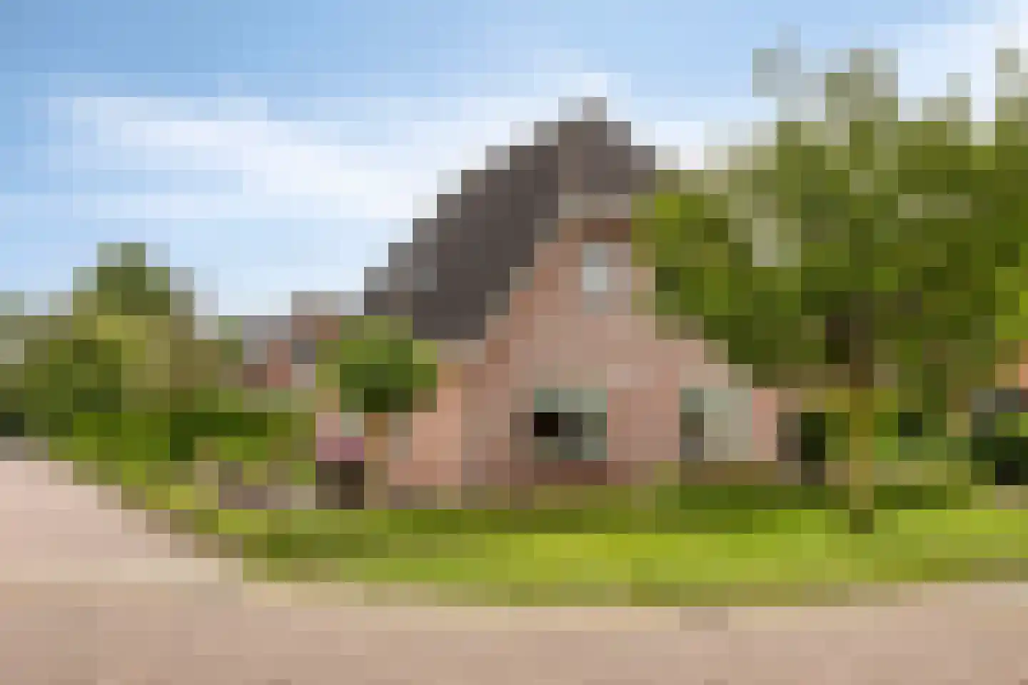 Smitskamp 150 A Aalten thumbnail 36