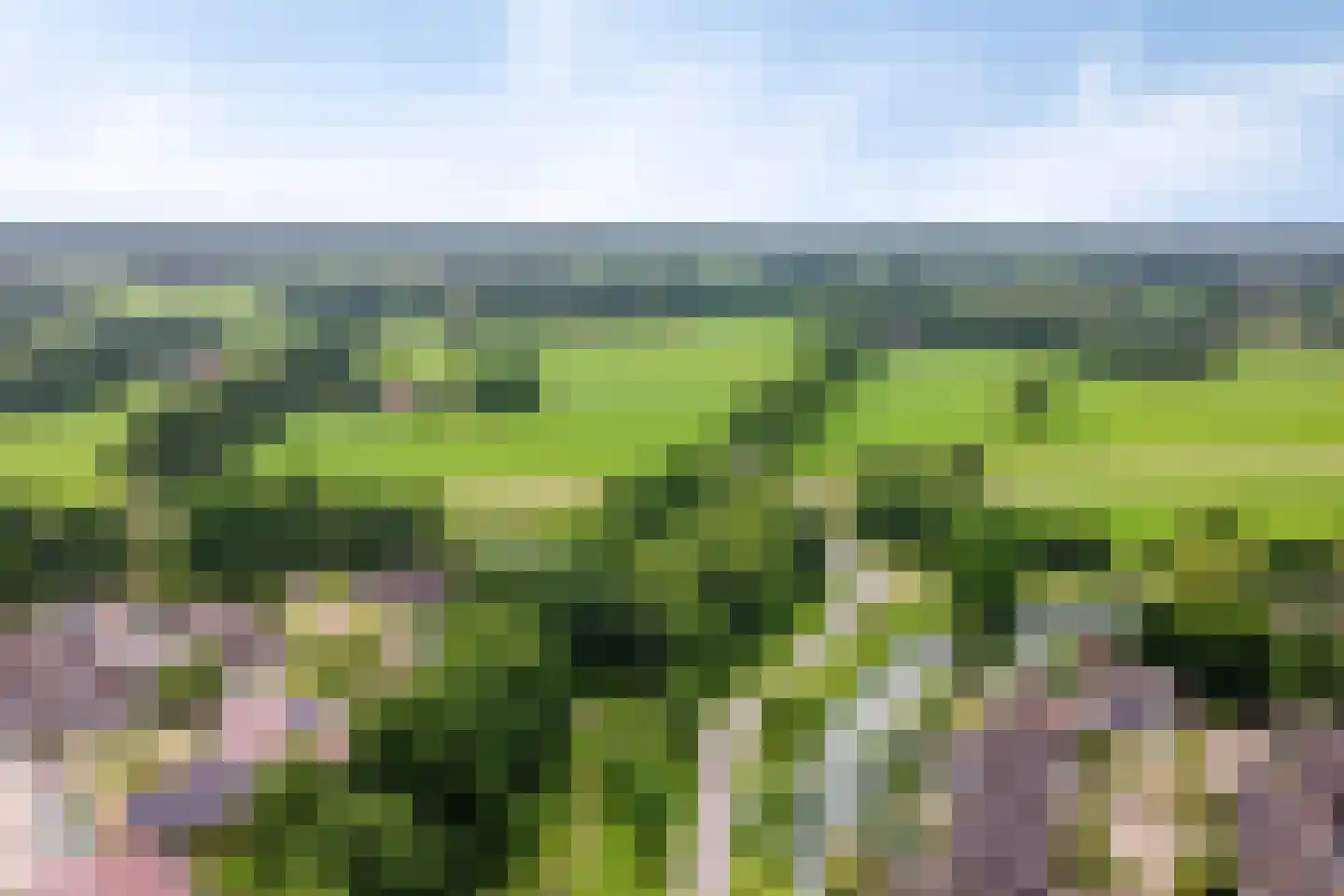 Smitskamp 150 A Aalten thumbnail 38