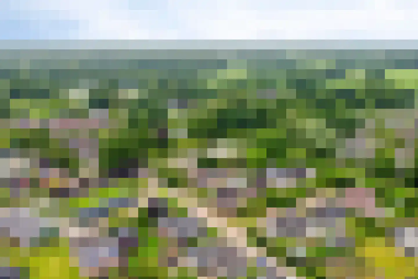 Smitskamp 150 A Aalten thumbnail 4