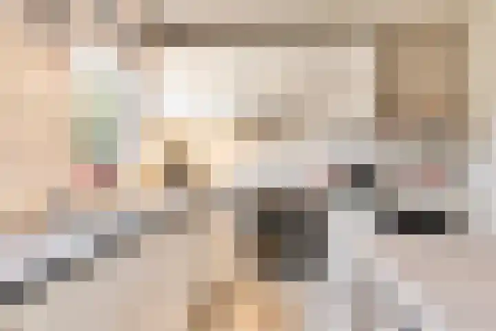 Smitskamp 19 Aalten thumbnail 11