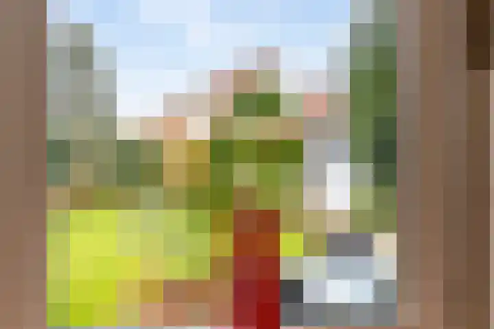 Smitskamp 19 Aalten thumbnail 13