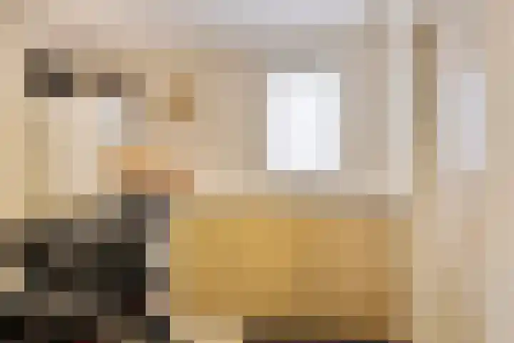 Smitskamp 19 Aalten thumbnail 15