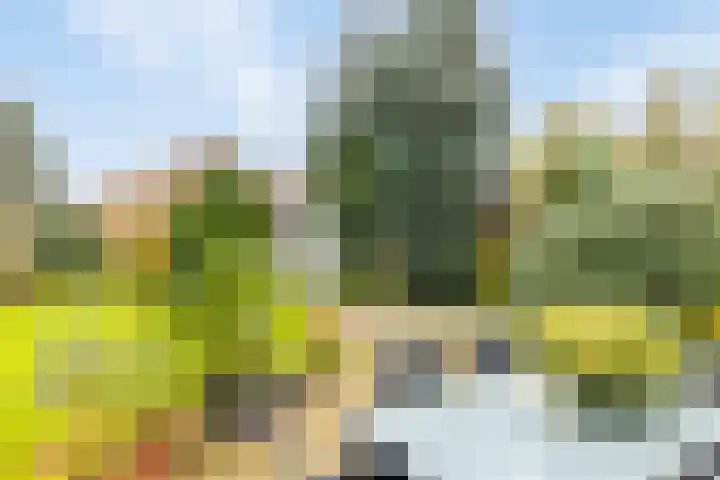 Smitskamp 19 Aalten thumbnail 25