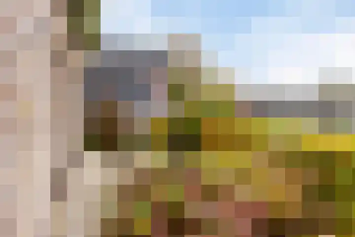 Smitskamp 19 Aalten thumbnail 29