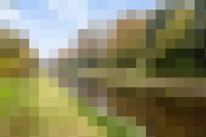 Smitskamp 19 Aalten thumbnail 31