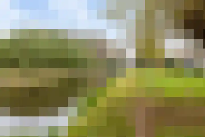 Smitskamp 19 Aalten thumbnail 32