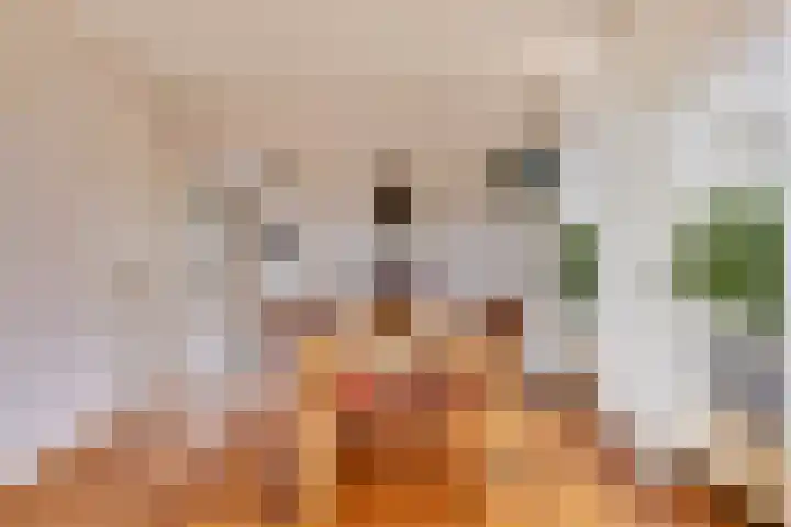 Smitskamp 19 Aalten thumbnail 9