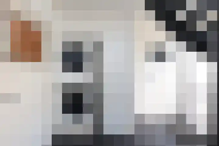 Smitskamp 9 Aalten thumbnail 26