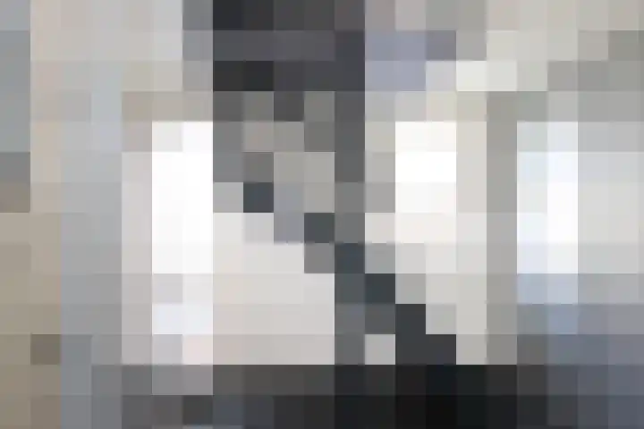 Smitskamp 9 Aalten thumbnail 30