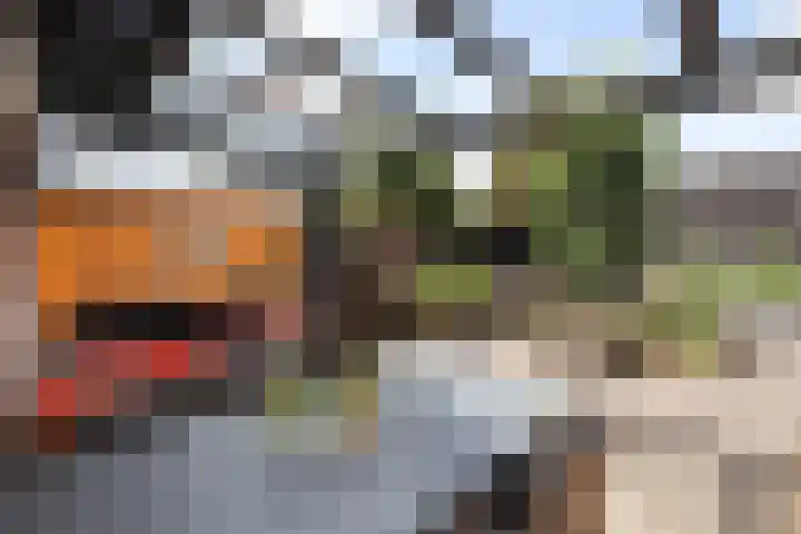 Smitskamp 9 Aalten thumbnail 33