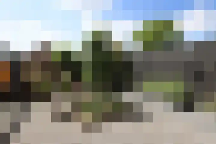 Smitskamp 9 Aalten thumbnail 36