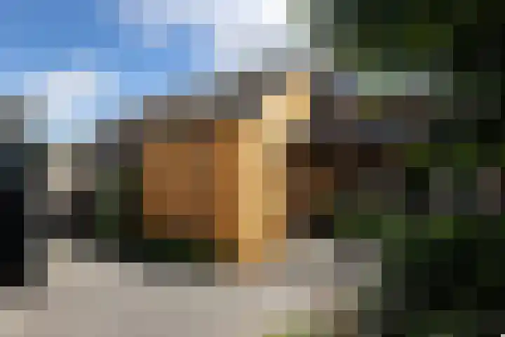 Smitskamp 9 Aalten thumbnail 37