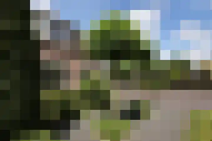 Smitskamp 9 Aalten thumbnail 45