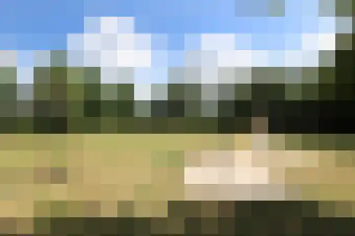 Smitskamp 9 Aalten thumbnail 49
