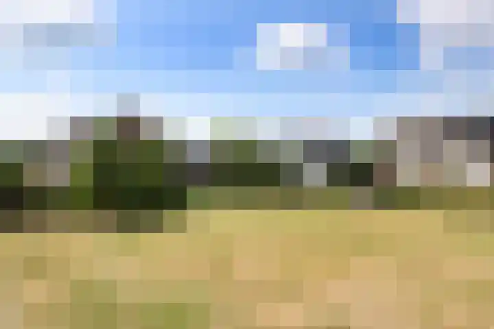 Smitskamp 9 Aalten thumbnail 50