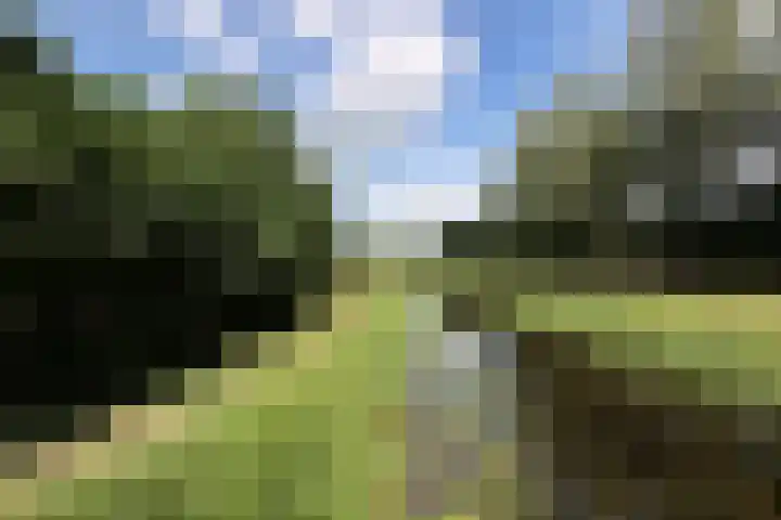 Smitskamp 9 Aalten thumbnail 51