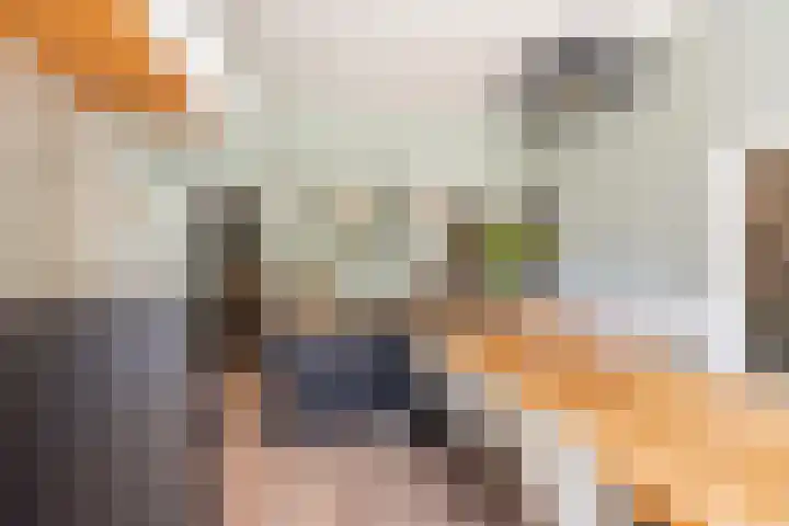 Smitskamplaan 16 Dinxperlo thumbnail 14