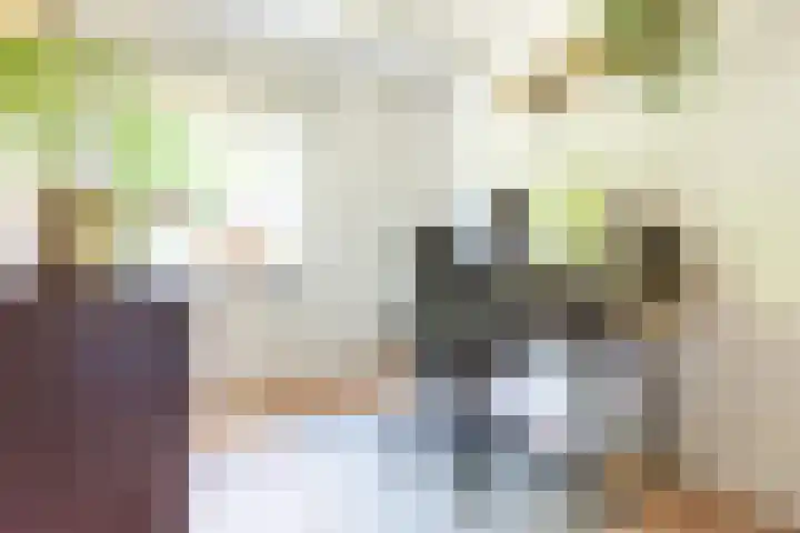 Smitskamplaan 16 Dinxperlo thumbnail 25