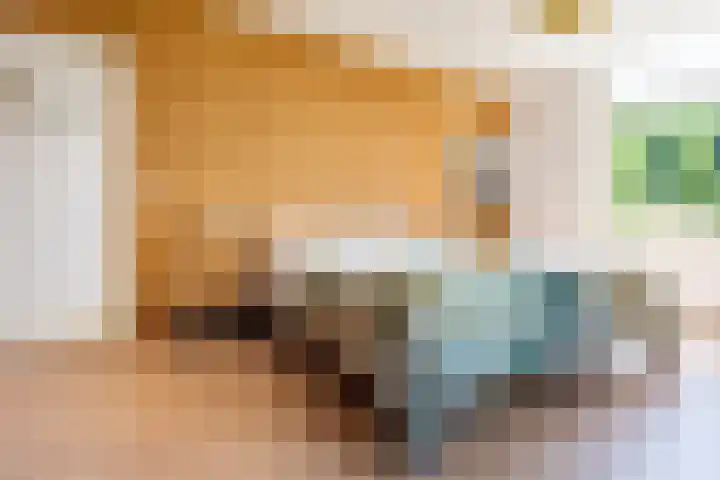 Smitskamplaan 16 Dinxperlo thumbnail 26