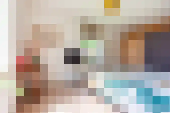 Smitskamplaan 16 Dinxperlo thumbnail 27