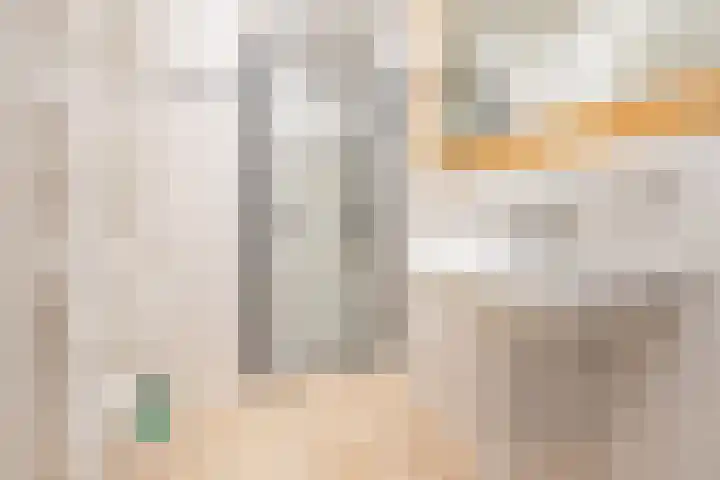 Smitskamplaan 16 Dinxperlo thumbnail 28