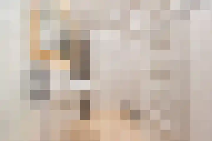 Smitskamplaan 16 Dinxperlo thumbnail 30