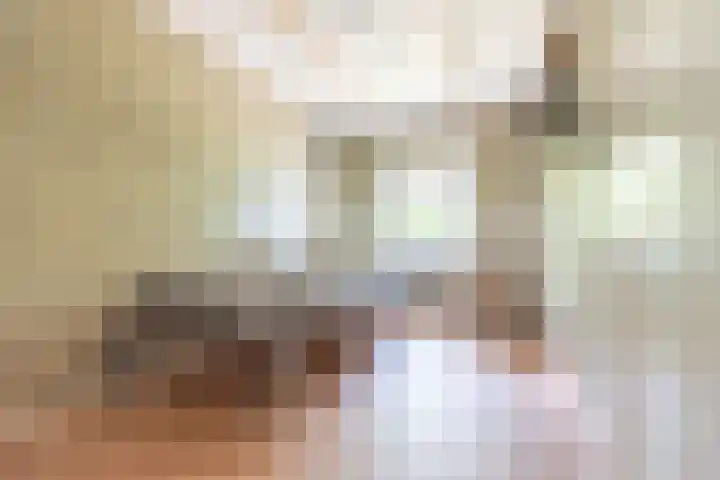 Smitskamplaan 16 Dinxperlo thumbnail 31