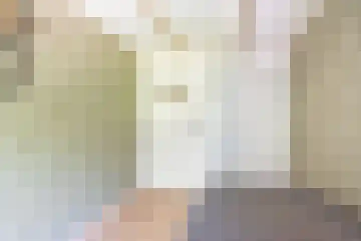 Smitskamplaan 16 Dinxperlo thumbnail 32