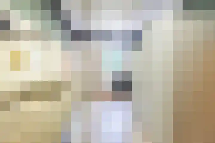 Smitskamplaan 16 Dinxperlo thumbnail 33