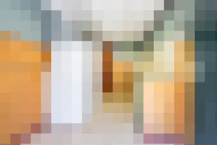 Smitskamplaan 16 Dinxperlo thumbnail 34