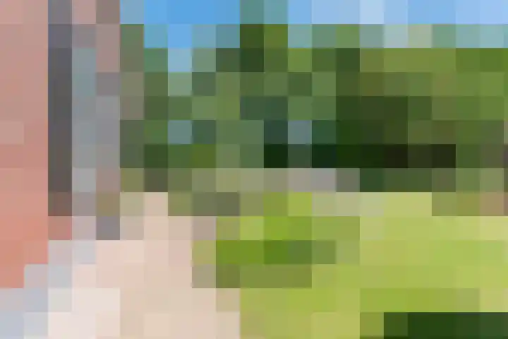 Smitskamplaan 16 Dinxperlo thumbnail 50