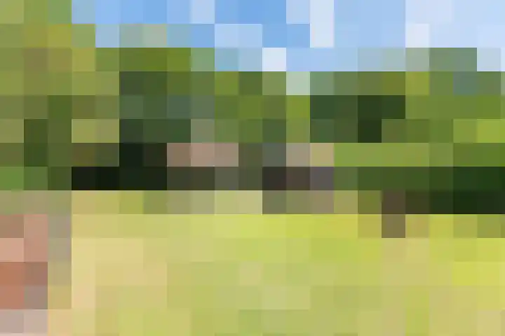 Smitskamplaan 16 Dinxperlo thumbnail 51