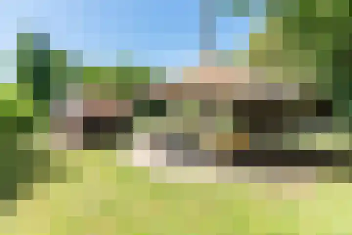 Smitskamplaan 16 Dinxperlo thumbnail 52