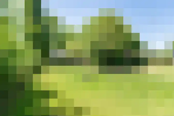 Smitskamplaan 16 Dinxperlo thumbnail 53
