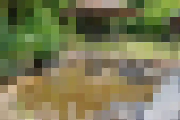 Smitskamplaan 16 Dinxperlo thumbnail 54