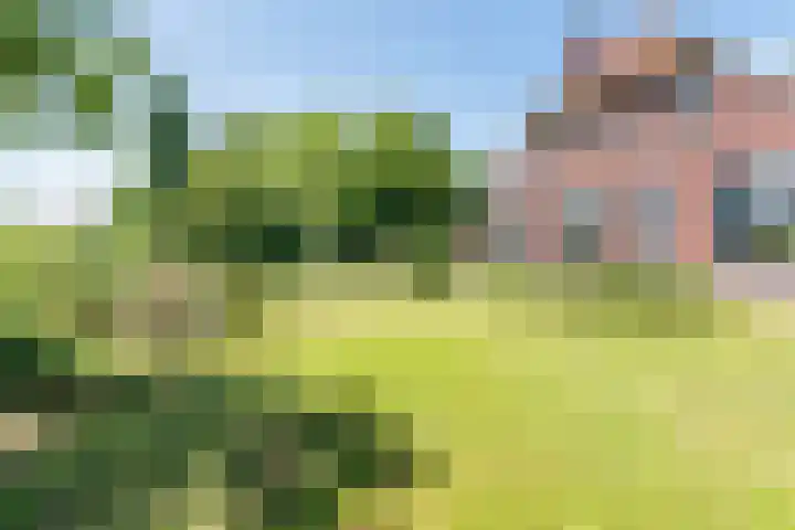 Smitskamplaan 16 Dinxperlo thumbnail 55